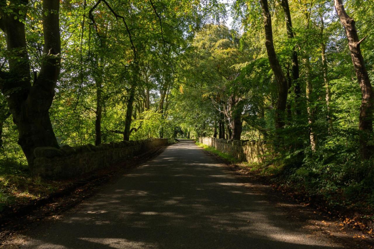 Millbrae Lodges Belfast Dış mekan fotoğraf